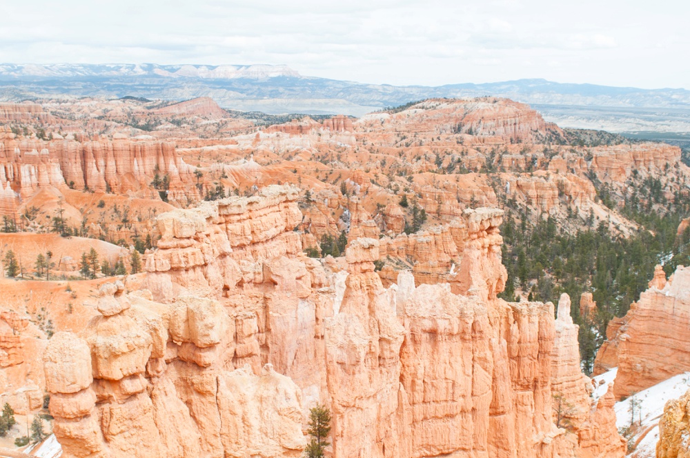 national parks photographer/ national parks photography/ travel photography/ national park foundation/ national parks service/ conservation/ national park prints/ grand canyon photography/ yosemite photography/ grand tetons photography/ joshua tree photography/ bryce national park photography