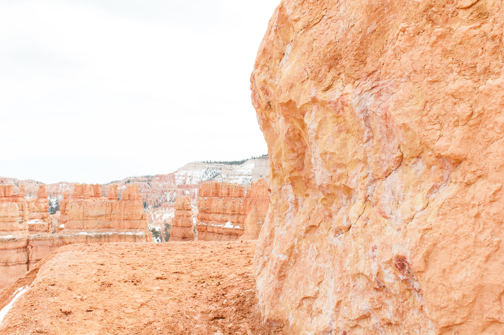 © Nicole D Photography | Bryce