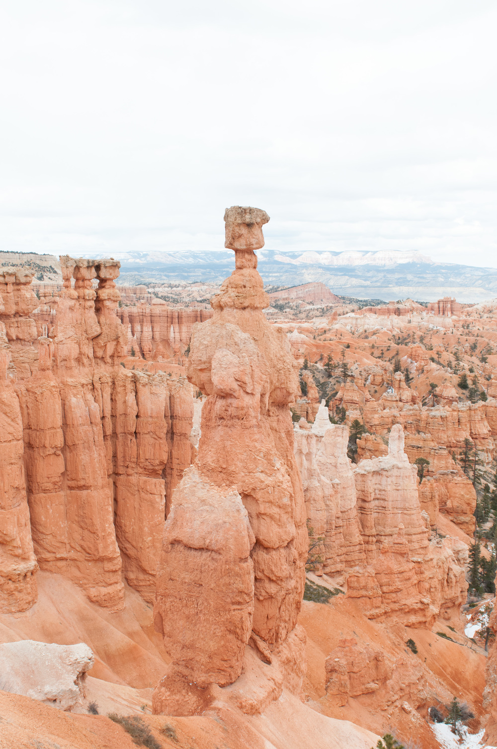 © Nicole D Photography | Bryce