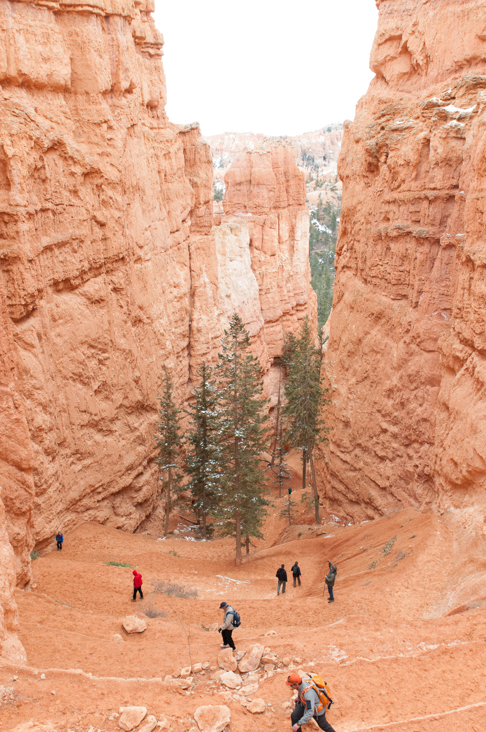 © Nicole D Photography | Bryce
