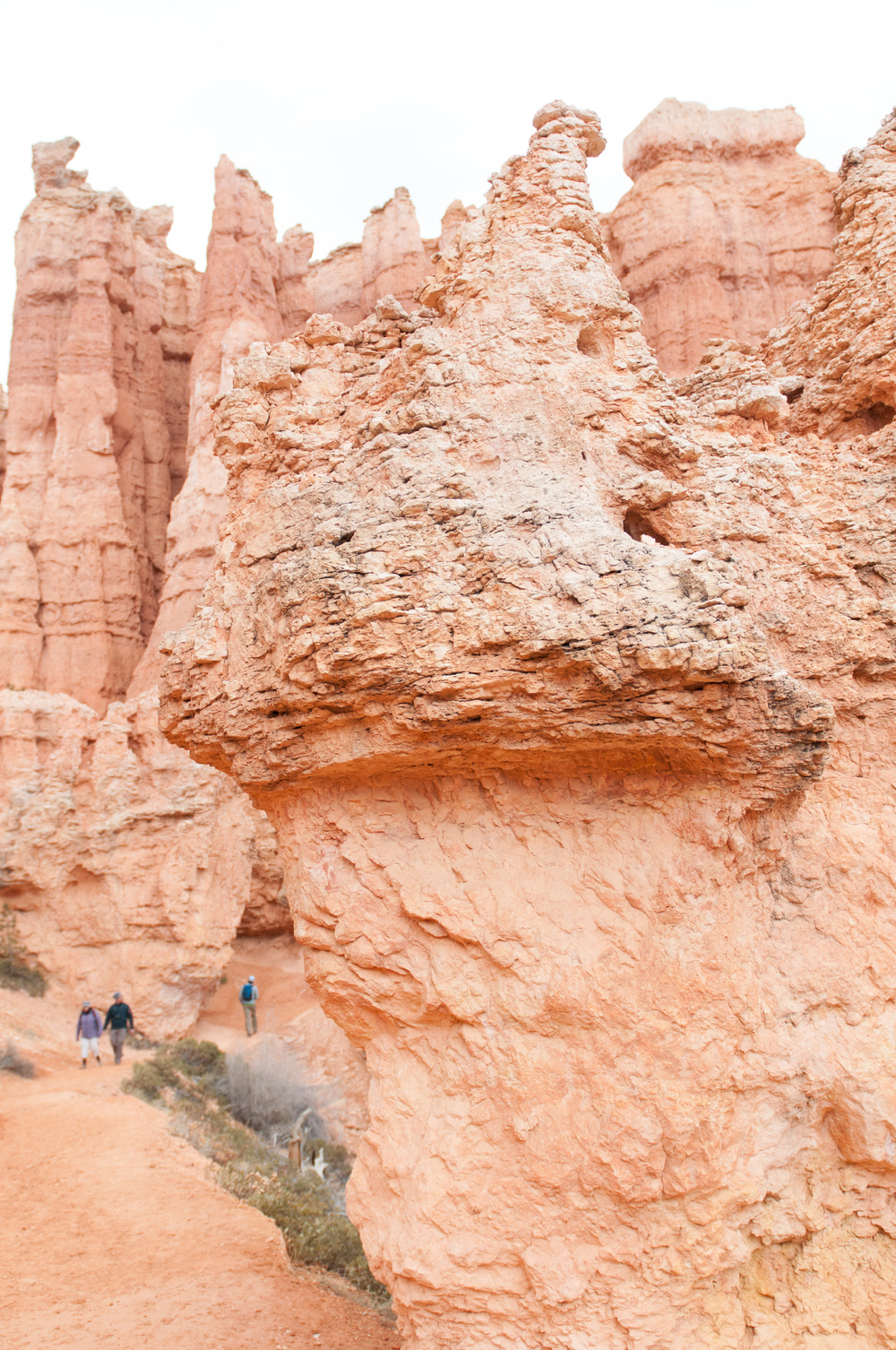 © Nicole D Photography | Bryce