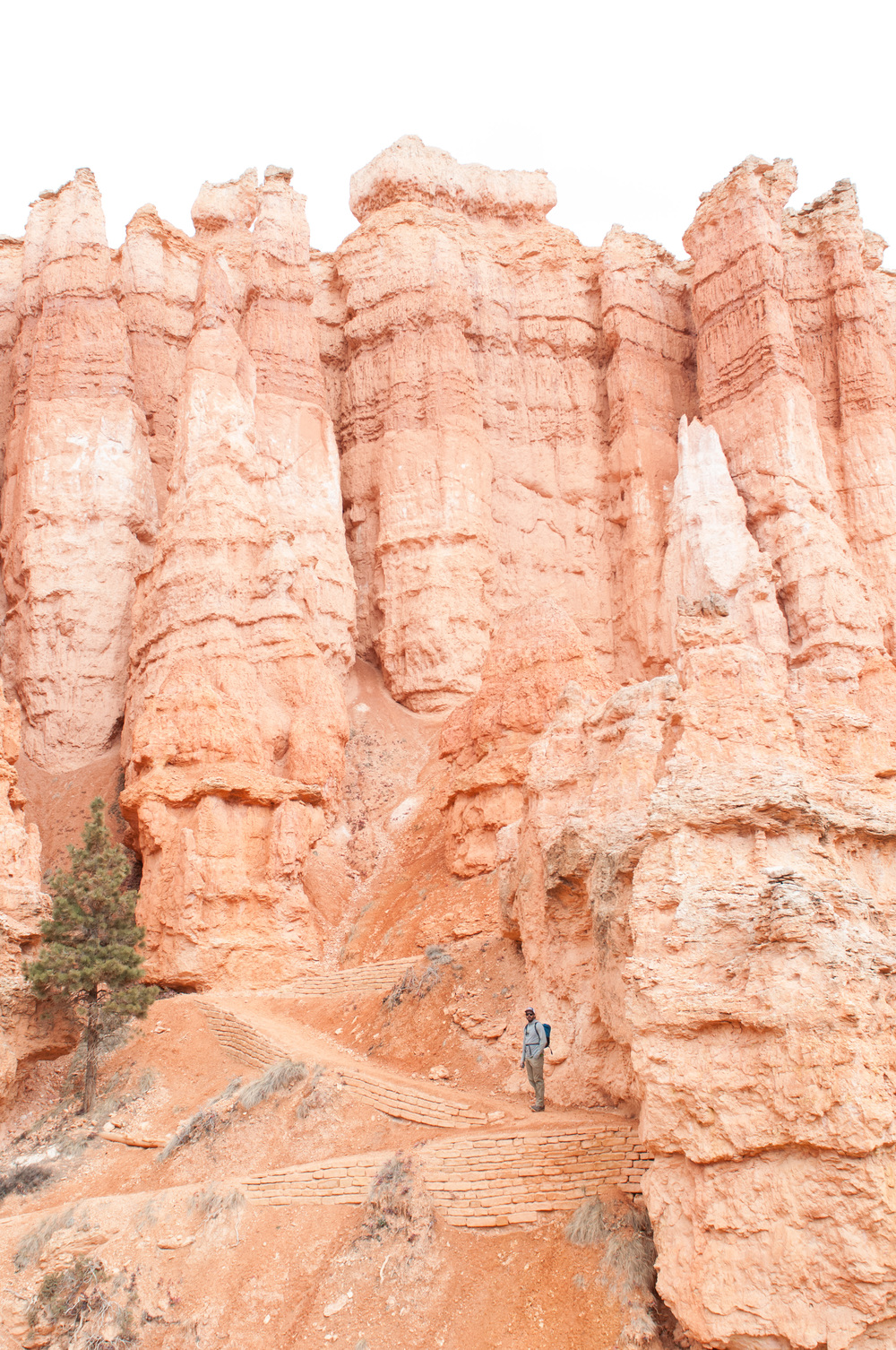 © Nicole D Photography | Bryce