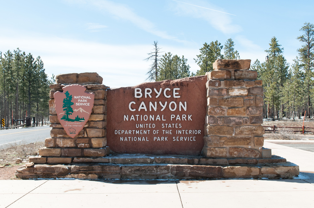 © Nicole D Photography | Bryce