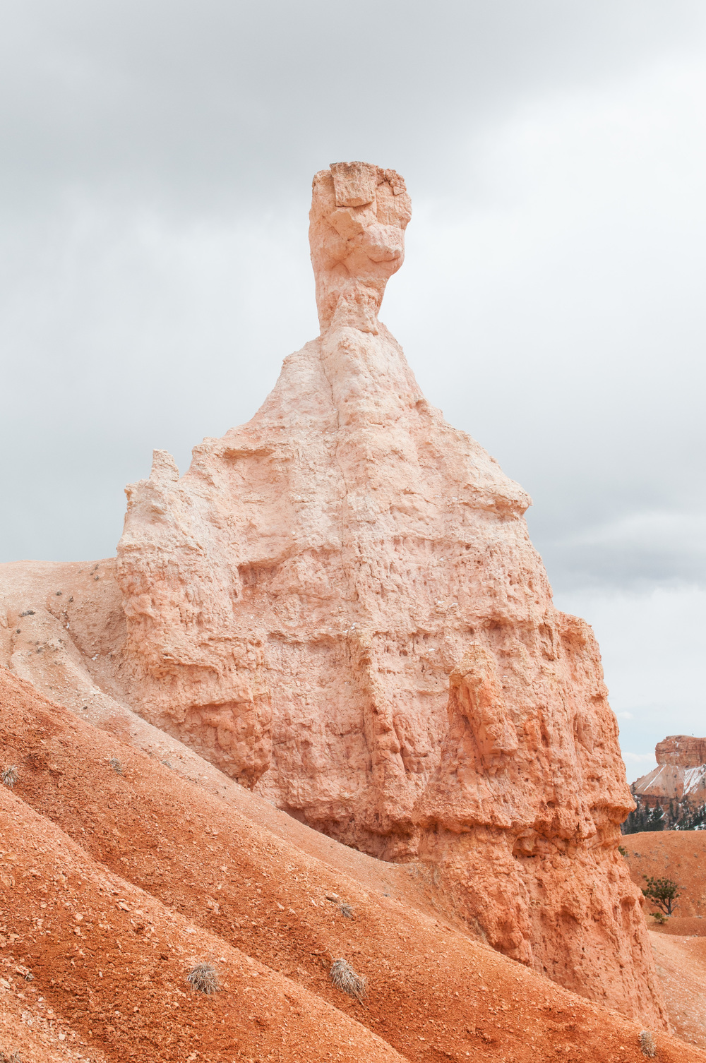 © Nicole D Photography | Bryce