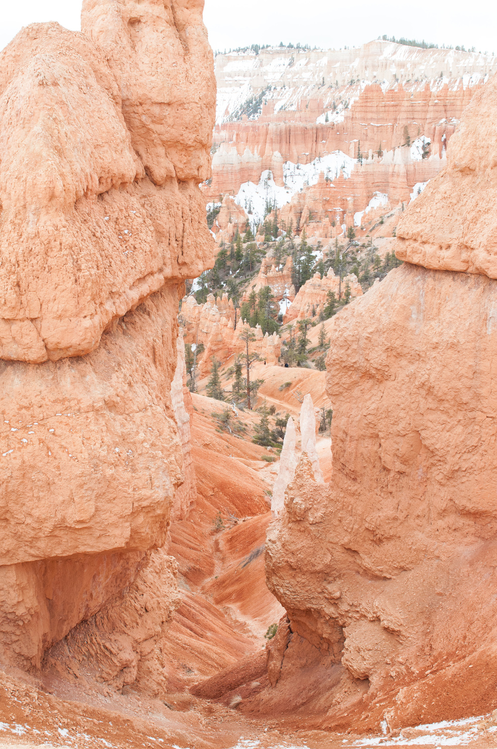 © Nicole D Photography | Bryce