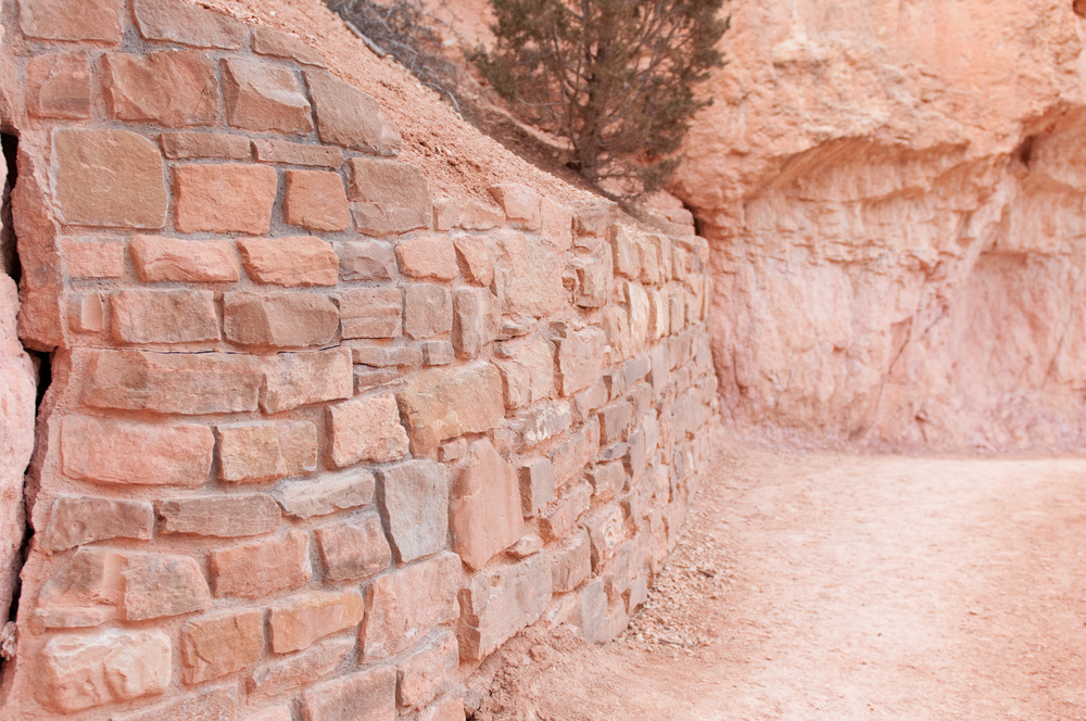 © Nicole D Photography | Bryce
