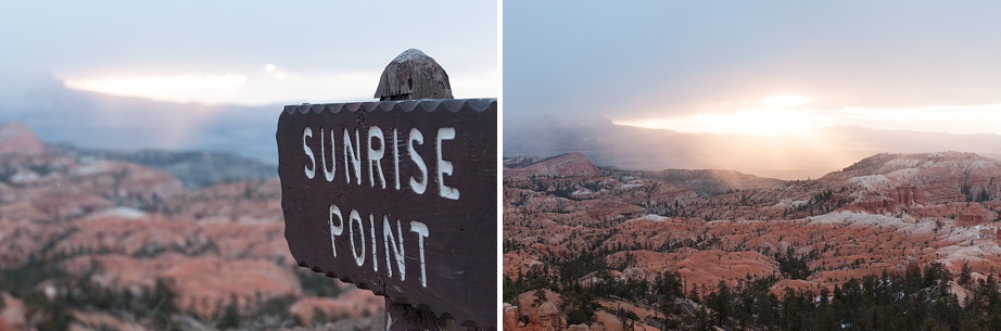© Nicole D Photography | Bryce-75