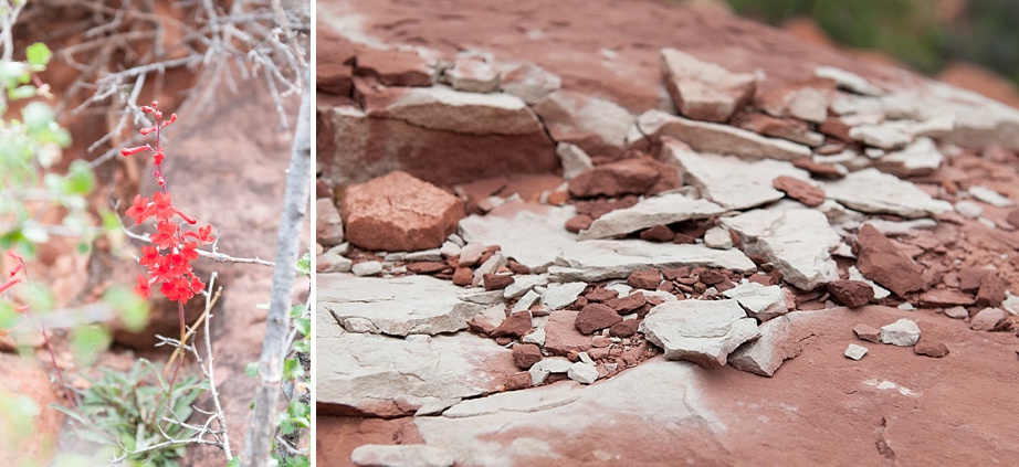 © Nicole D Photography | Grand Canyon -64