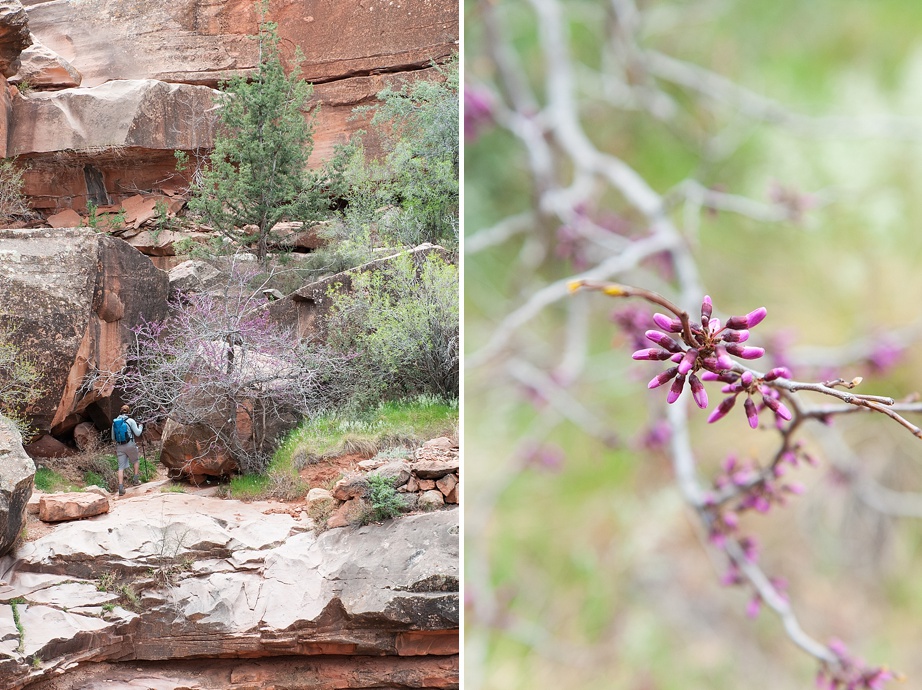 © Nicole D Photography | Grand Canyon -69