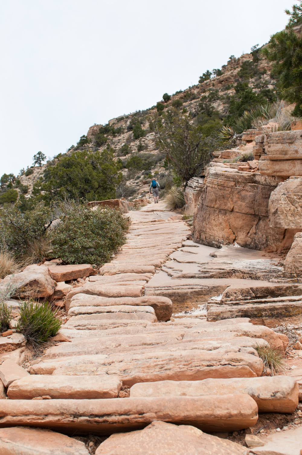 © Nicole D Photography | Grand Canyon 