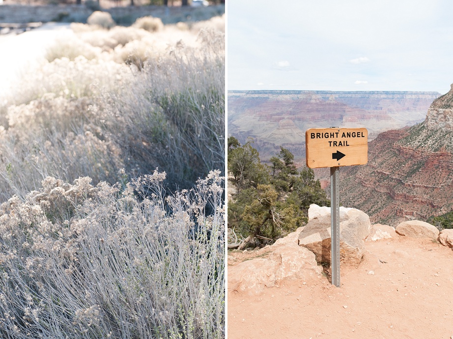 © Nicole D Photography | Grand Canyon -83