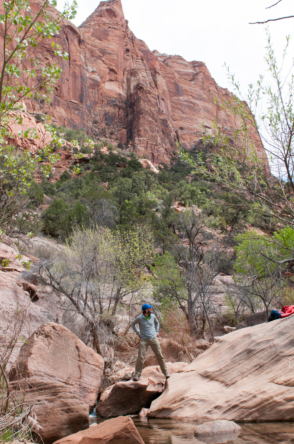 © Nicole D Photography | Zion