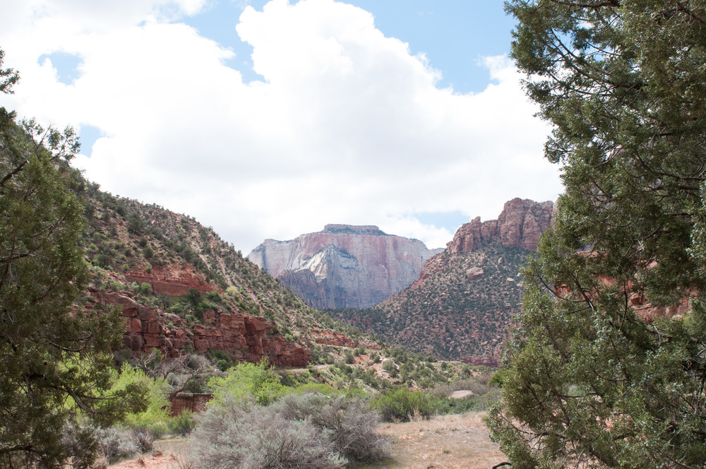 © Nicole D Photography | Zion