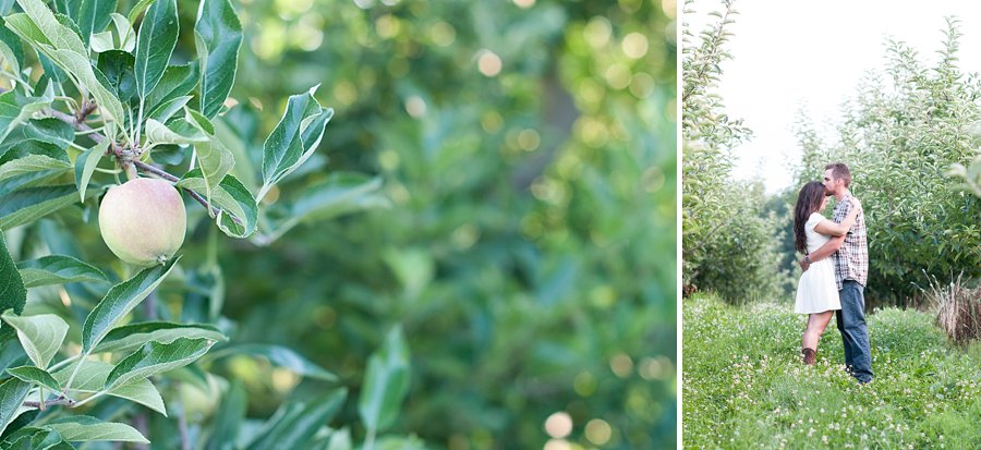 © Nicole D Photography | Hudson Valley, NY Engagement session on a farm with red barn