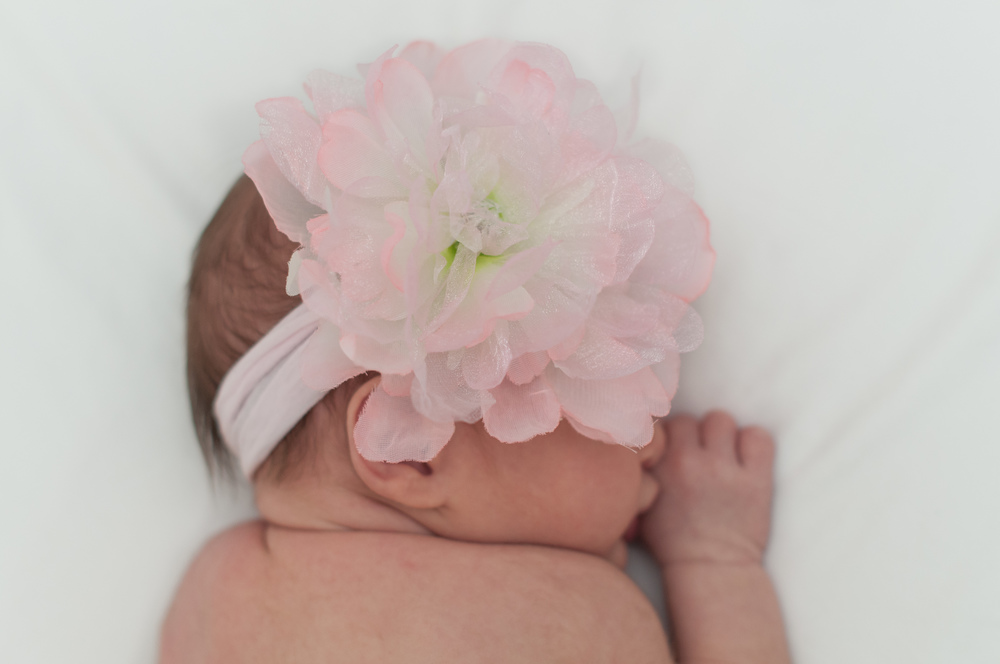 © Nicole D Photography |Newborn pink flower headband
