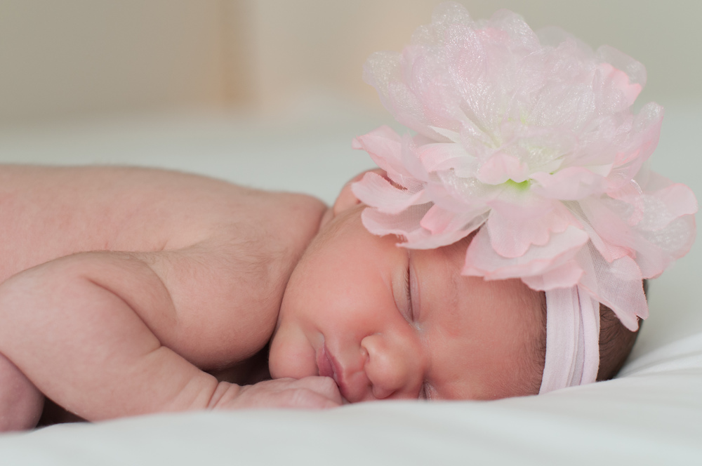 © Nicole D Photography | Newborn girl's pink flower headband