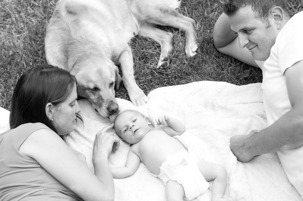 © Nicole D Photography | Schenectady NY newborn photography