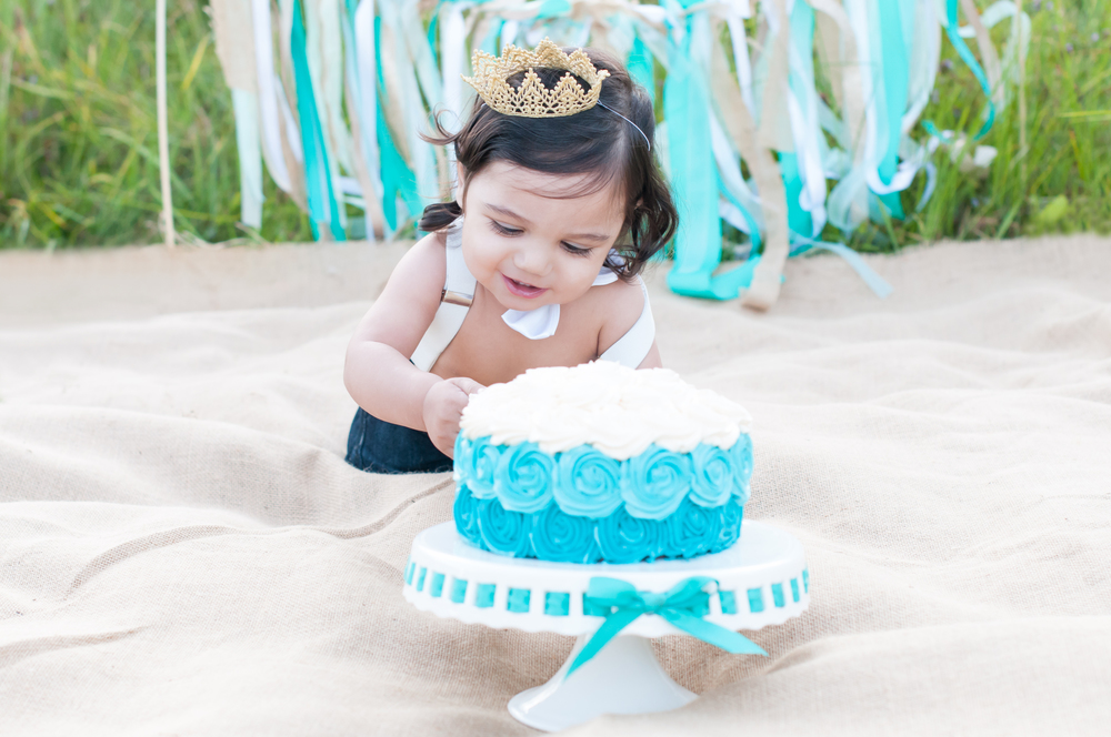 © Nicole D Photography |First Birthday Cake Smash 
