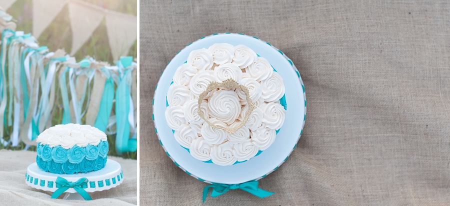 © Nicole D Photography |First Birthday Cake Smash 