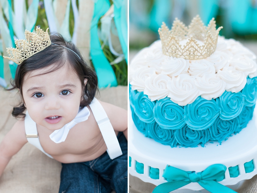 © Nicole D Photography |First Birthday Cake Smash 