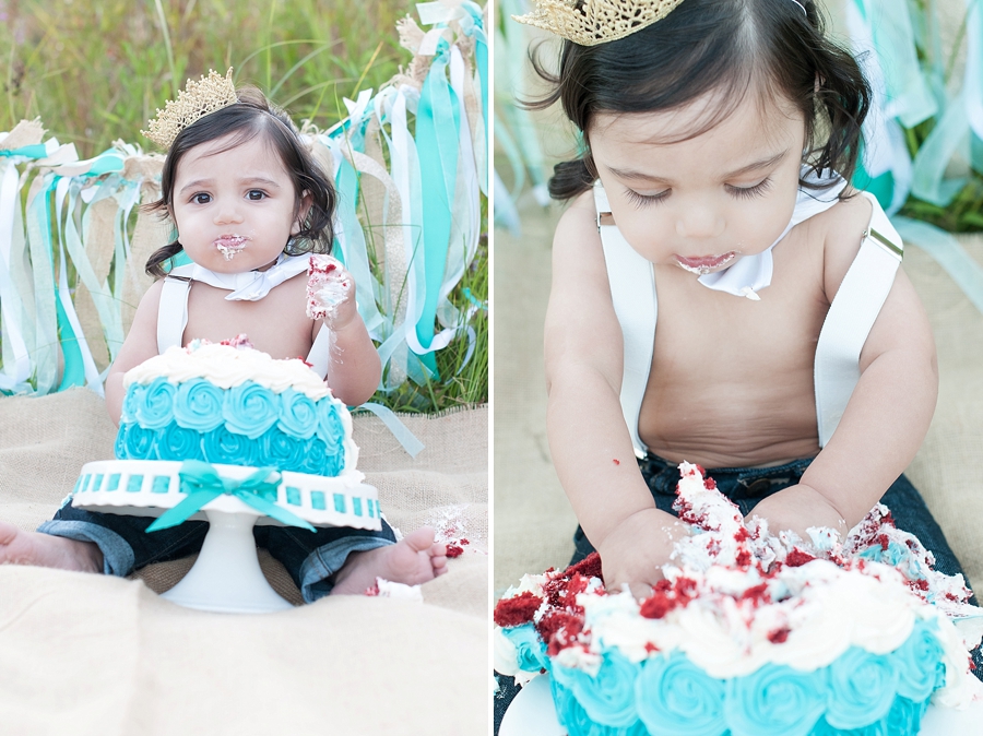 © Nicole D Photography |First Birthday Cake Smash 