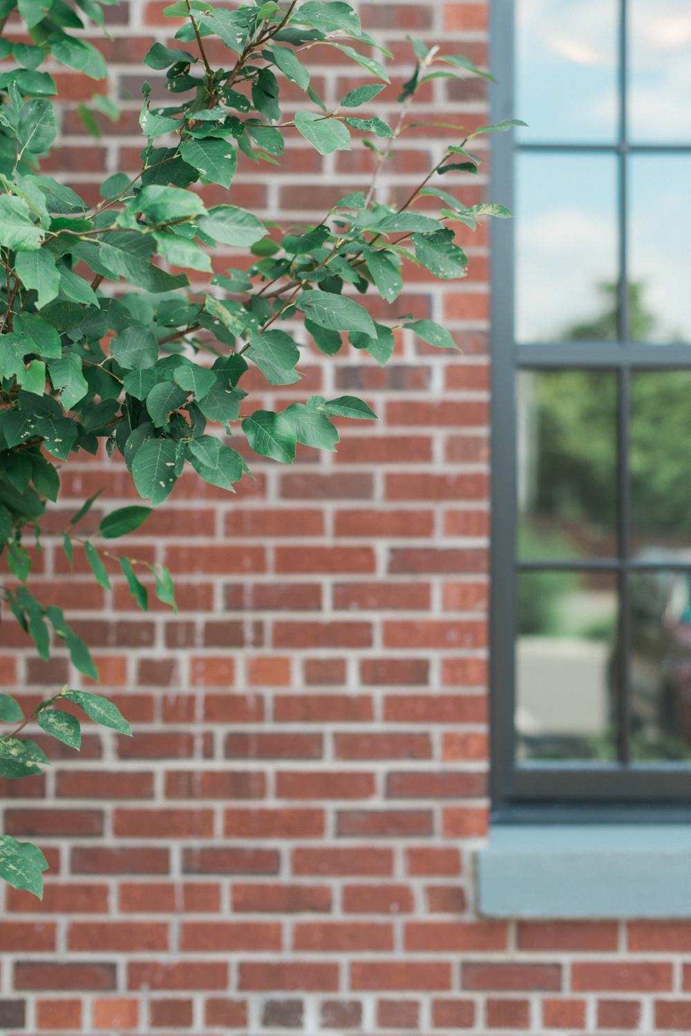 Diamond Mills Wedding Photography