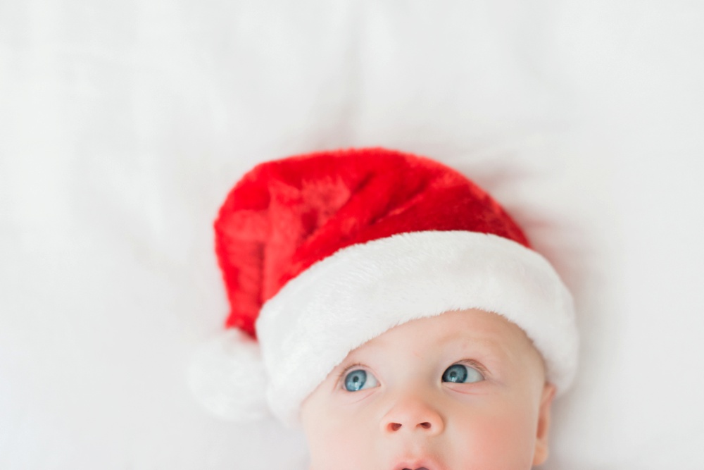 Hudson Valley Holiday Mini Sessions